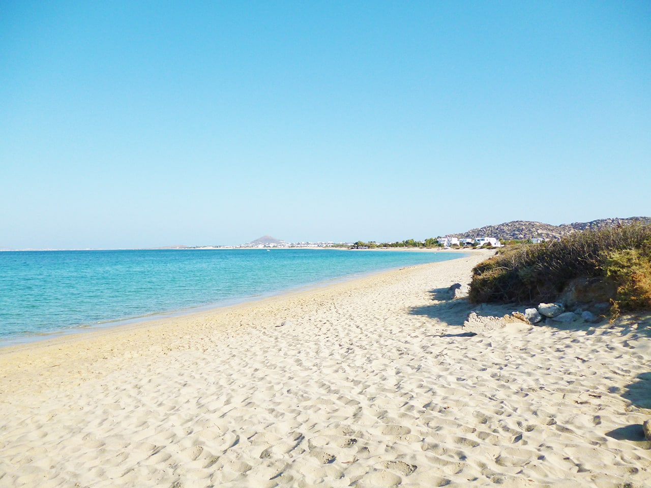 PLAKA-1000030