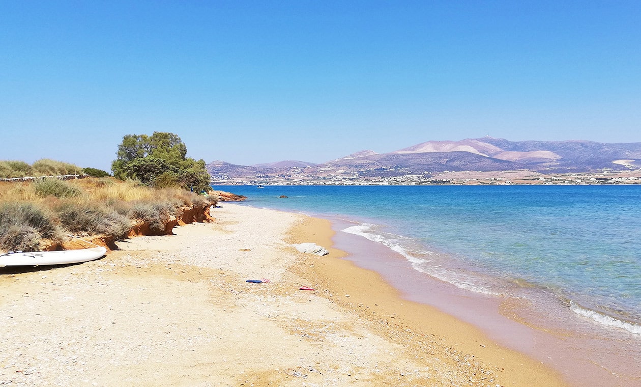 PANAGIA-150206
