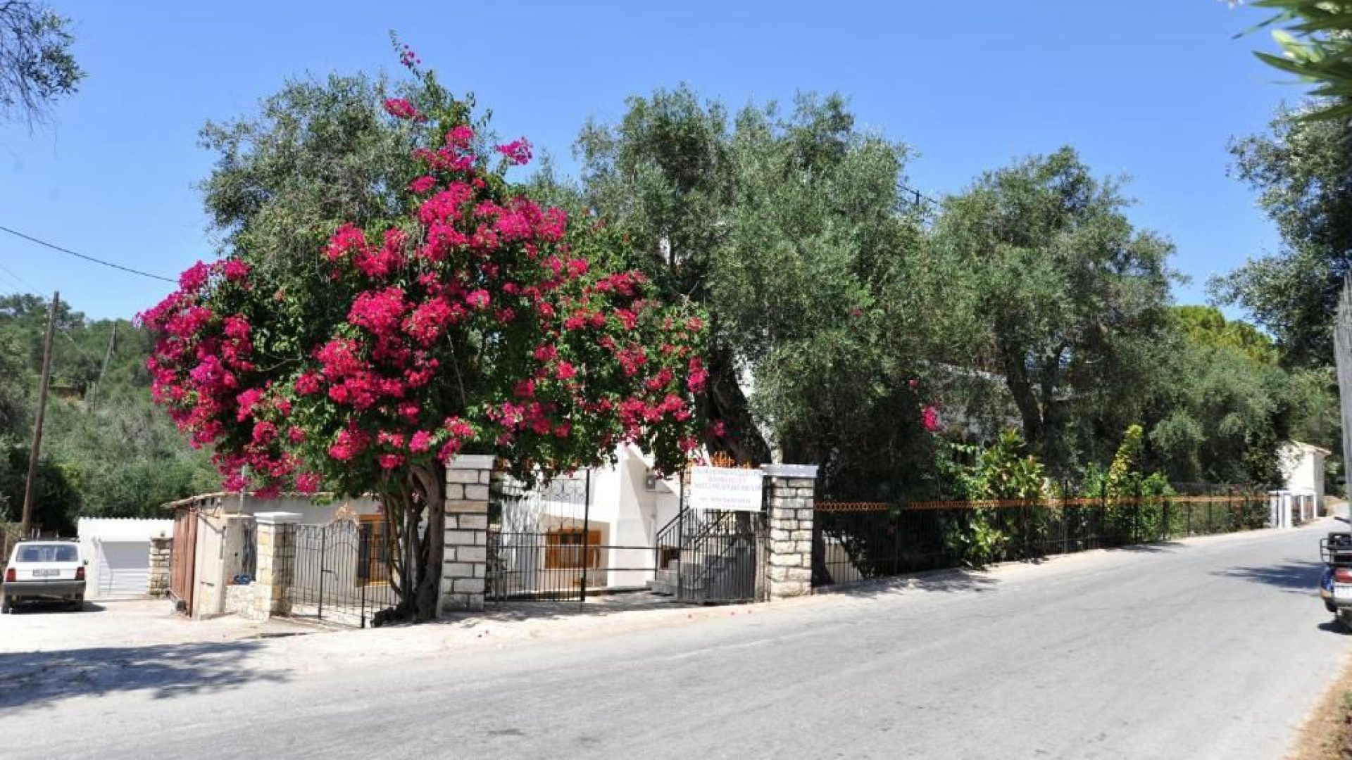 NATSIOS STUDIOS Appartamenti a Paxos