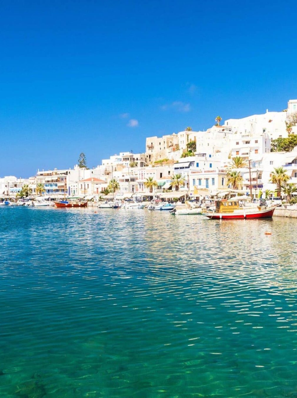 NAXOS-SLIDER-119